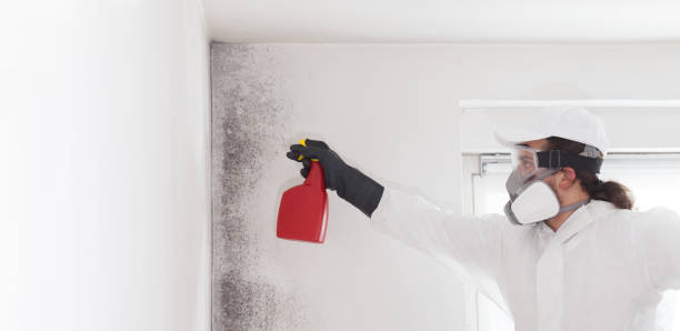 Best Mold Testing  in Cedartown, GA