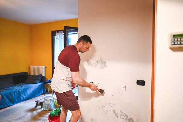 Best Toxic Mold Removal  in Cedartown, GA
