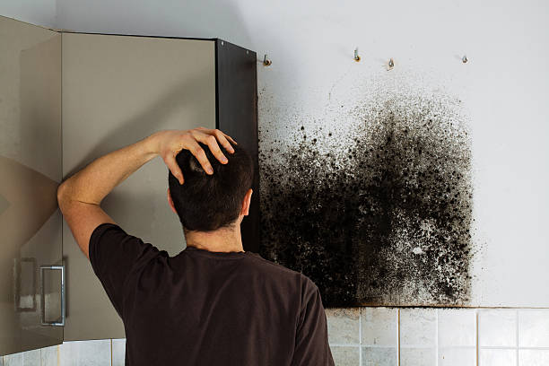 Best Commercial Mold Removal  in Cedartown, GA